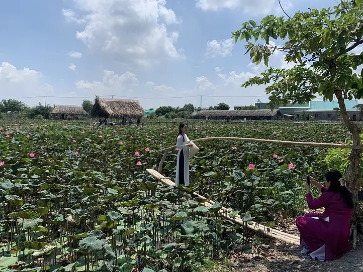 【週末特集】ベトナムの国花、ハスの花を堪能できるハス池に行ってみよう〜「Tam Da Dam Sen」〜