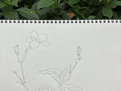 　自然公園にキャンプに行ってみた