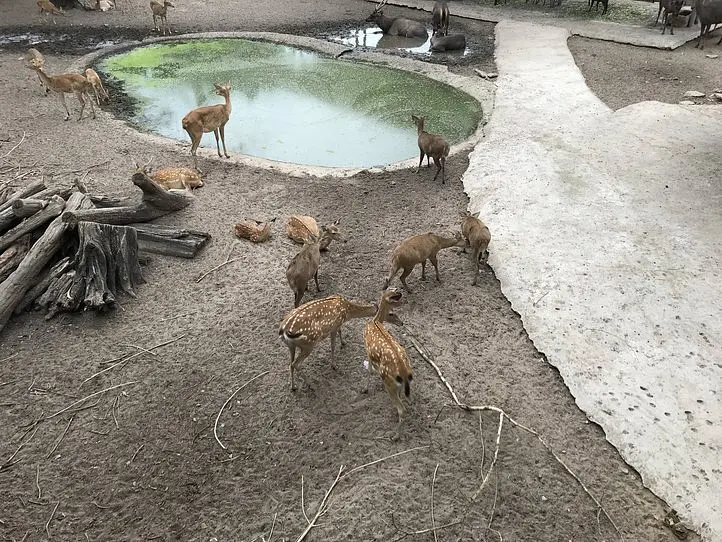子供から大人まで楽しむことができる、歴史あるサイゴン動植物園