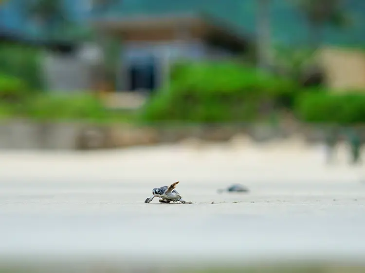 シックスセンシズ・コンダオ