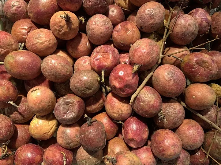 ホーチミンのスーパーで買える、南国フルーツ食べ比べ