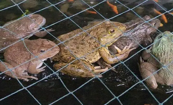 【旅行者インタビュー】「次はどこに飛ぼう？」始まりはマイル修行。気づけば何度もホーチミンへ