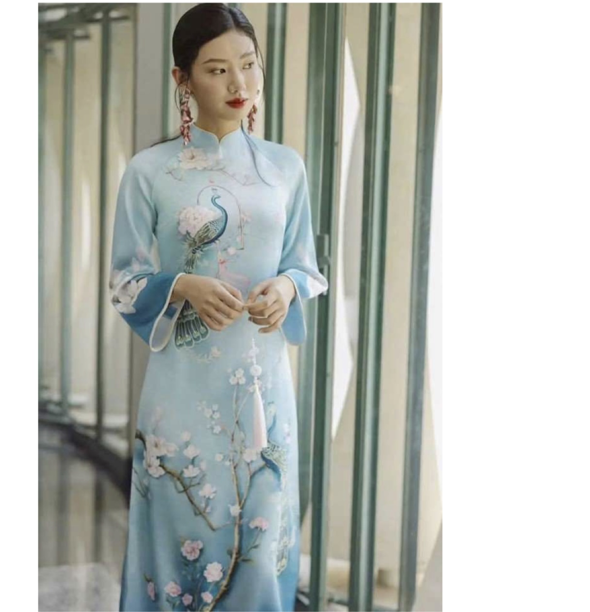 女性用のアオザイ 2（レンタル）