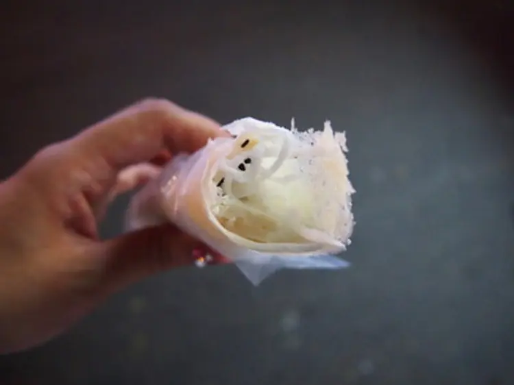 ポコロコ・ベトナム