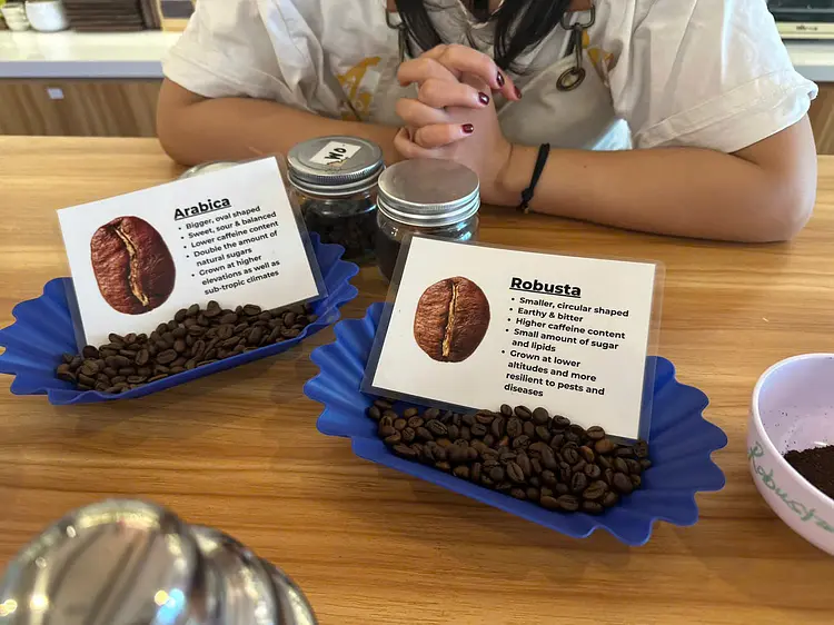 サイゴンソーシャル