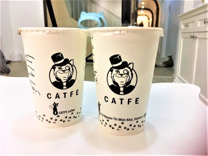 ホーチミンの猫カフェ「CATFE」に行ってみた