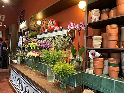 スピカ・スタジオ