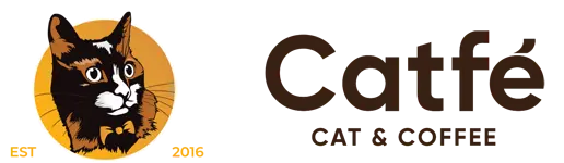 ホーチミン市の猫カフェ2選｜CATFEとBoNé Petkeryを紹介