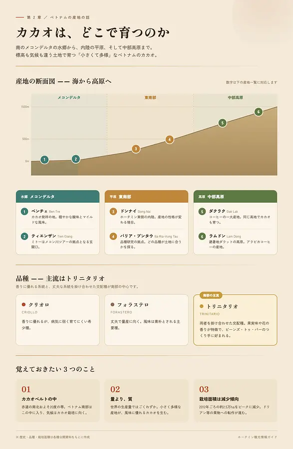 ベトナムのお土産、何を選ぶ？ 長年の悩みを解いてくれた「大人のチョコレート」の話