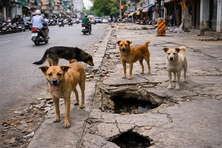 ホーチミン旅行中のケガに注意：実際に多い外傷と受診の目安