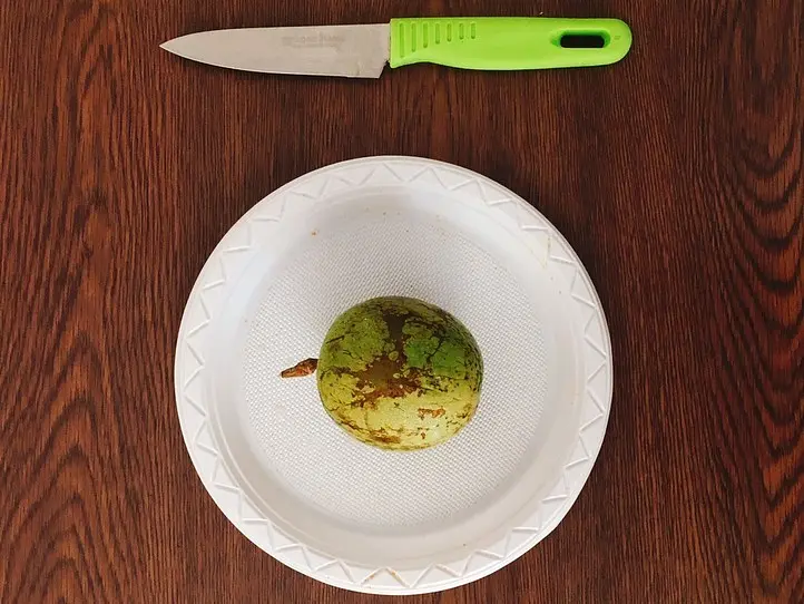 ベトナムのミルクメロン「おっぱいフルーツ」って何??　買い方・食べ方を解説！