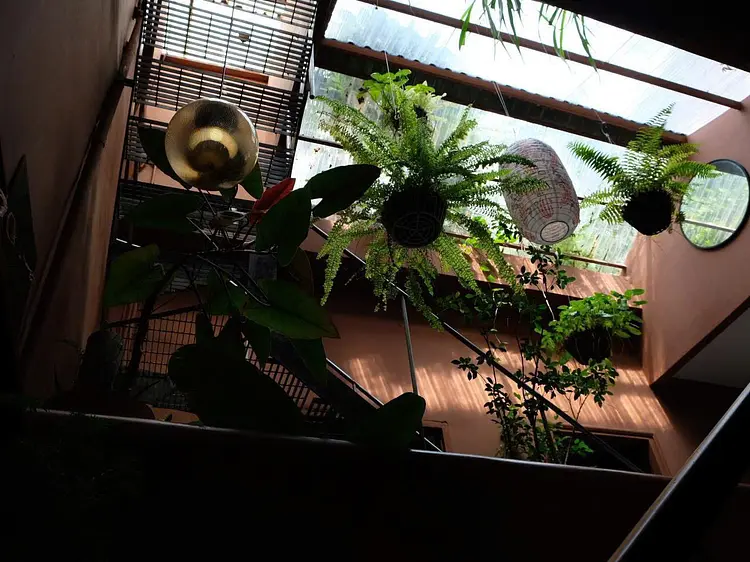 サオサク カフェ＆プランツ