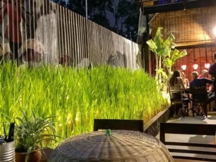 Rice Field (ライス フィールド)