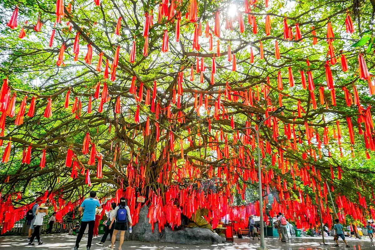 Đầm Sen（ダムセン）と Suối Tiên（スオイティエン）、どちらに行くべき？