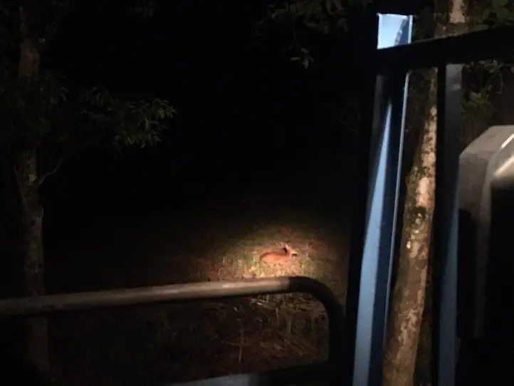週末特集！カッティエン国立自然公園にバイクで行ってみた