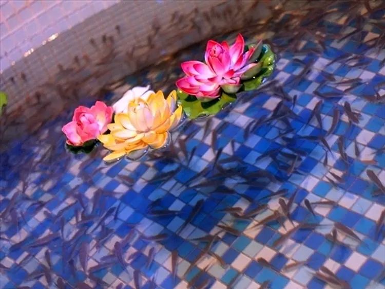 ブルー・ムーン・スパ