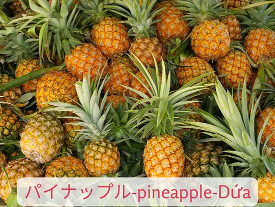 ホーチミンの暑さを忘れさせる！雨季と乾季のベトナムフルーツ特集