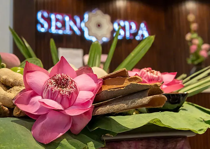 【ホーチミン マッサージ 店ランキング】リラックスできるおすすめマッサージ店5選の紹介