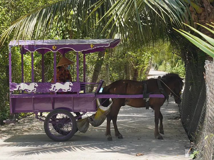 サイゴン・ブルー・トラベル