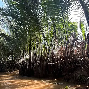 ホーチミン旅行の大定番！メコン川クルーズツアーの魅力