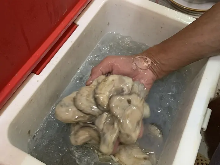 ホーチミンで海鮮を満喫しよう〜４区の貝ストリート〜