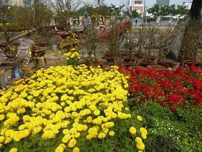 テトを前にホーチミンは華やかに～8区運河沿いにある花市場