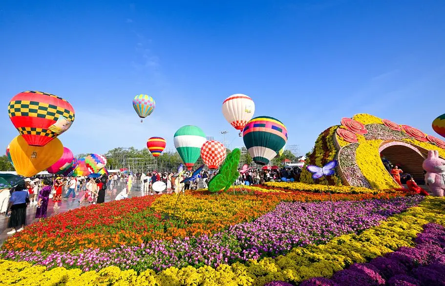 サデック花村 ― メコンデルタに広がる色鮮やかな花の絨毯
