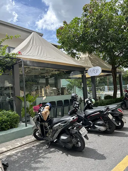 キャッチアップ・チュックズオン