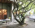 アイディーカフェ (トゥスゥン店)