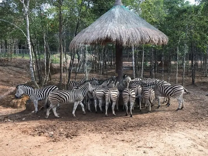 フーコック島の自然あふれる観光施設、ヴィンパールサファリ