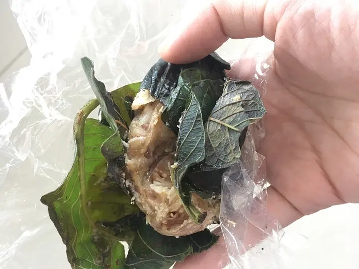 ホーチミン中部の街クイニョンってどんなところ？