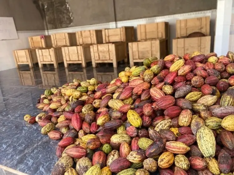 サイゴン・ブルー・トラベル