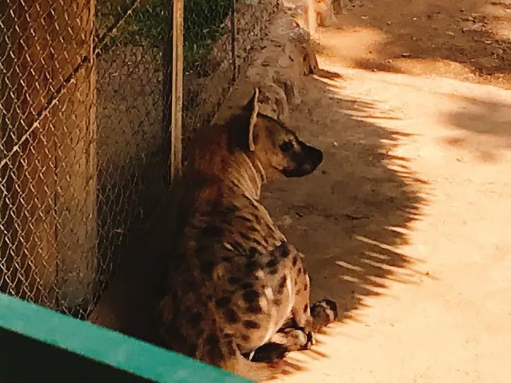 子供から大人まで楽しむことができる、歴史あるサイゴン動植物園